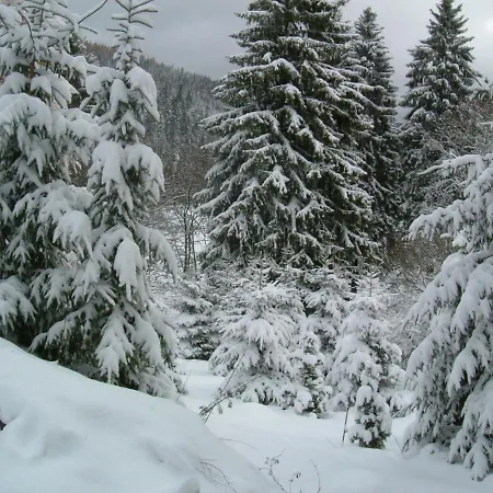 Waldhaus, Ski- Und Wanderhütte Apartment Breitenbrunn (Saxony)