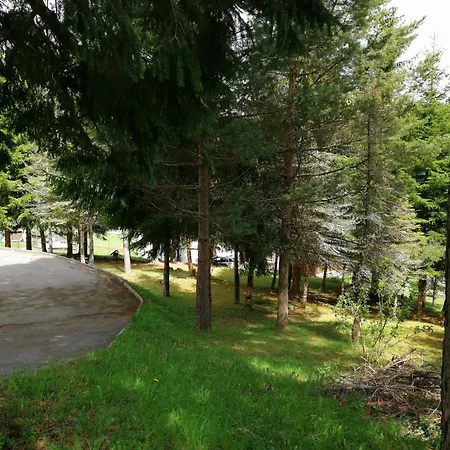 Apartamento Waldhaus, Ski- Und Wanderhuette Breitenbrunn (Saxony)