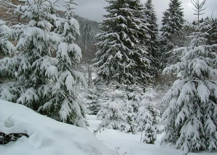 Waldhaus, Ski- Und Wanderhuette Apartamento Breitenbrunn (Saxony)