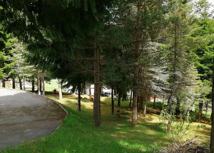 Apartamento Waldhaus, Ski- Und Wanderhuette Breitenbrunn (Saxony)