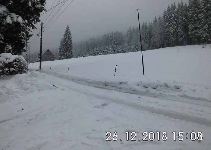 Waldhaus, Ski- Und Wanderhuette Apartamento