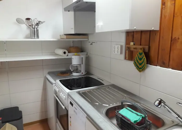 Apartamento Waldhaus, Ski- Und Wanderhuette Breitenbrunn (Saxony)